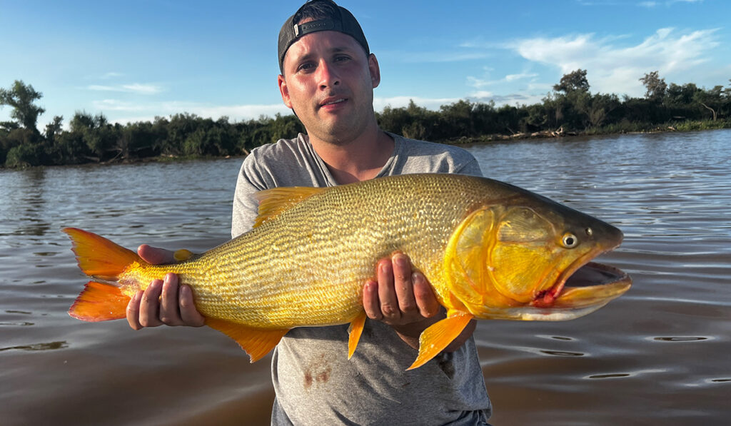 Pesca de Dorados en San Nicolas de los arroyos